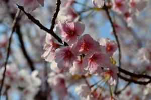 823568_251608494975078_132892308_o