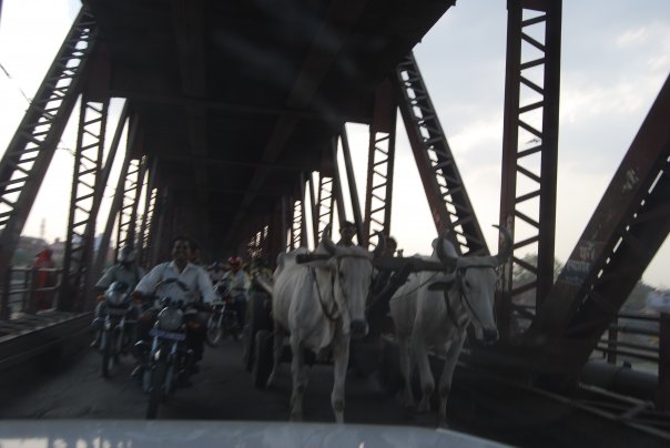 4443_87956536451_3342744_n