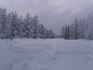 837_39596876451_6253_n