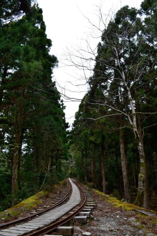 307319_251714401631154_243417068_n