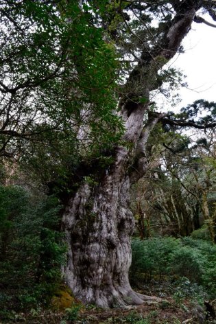 487288_251716338297627_2111718848_n