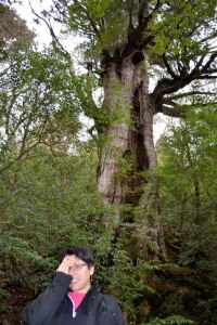 543803_251716268297634_842343424_n