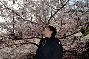 860338_251608748308386_1558160089_o