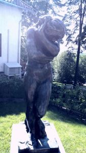 11892145_662050933930830_4999221900343546018_n